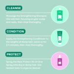 Pack Fortifiant – Image 4